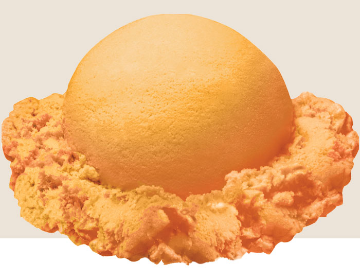 Orange Sherbet Ice Cream Flavor | Stewart's Shops