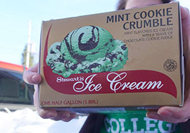 mint cookie crumble ice cream