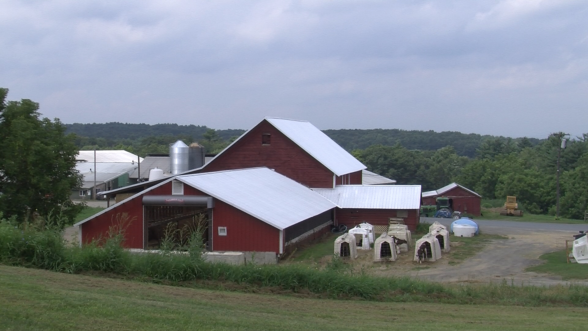 The BEST Milk comes from the BEST Dairy Farms Spotlight on AwardWinning Gettyvue Farm
