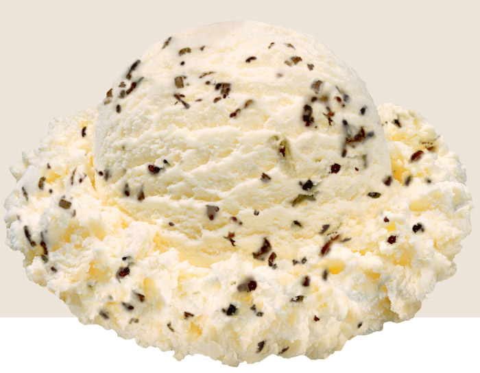 toasted coconut scoop