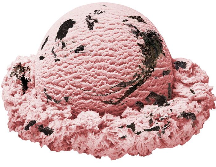 marionberry cookie scoop